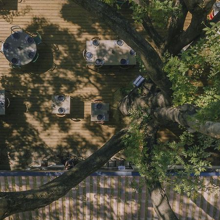 L'Hotel Du Garage Des Cevennes อ็องดูซ ภายนอก รูปภาพ
